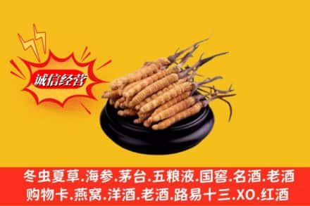 昆明呈贡区高价上门回收虫草多少钱每克